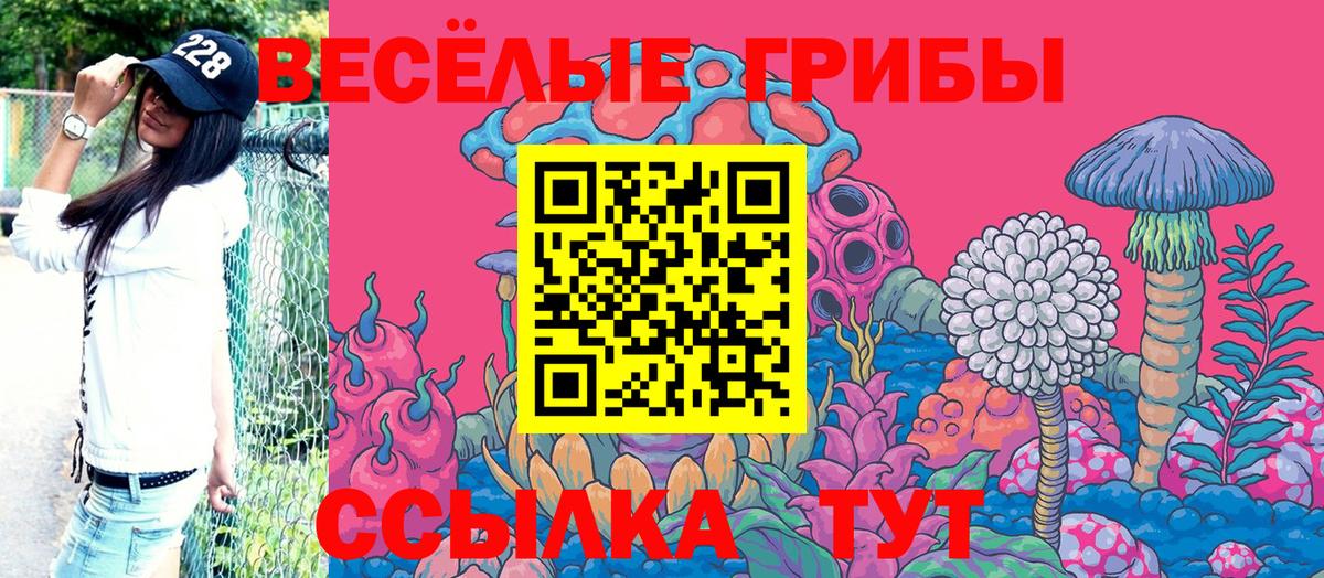 Златоуст  Галлюциногенные грибы мухоморы  Вход с VPN  Галлюциногенные грибы мицелий 